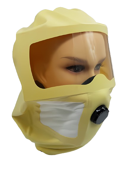 TopBioShield full facepiece N99 protective mask